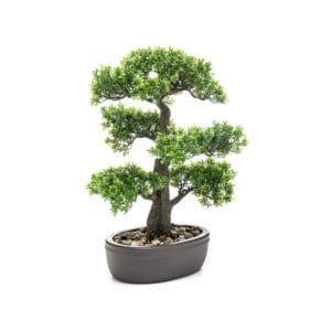 Bonsái ficus artificial de 43 cm