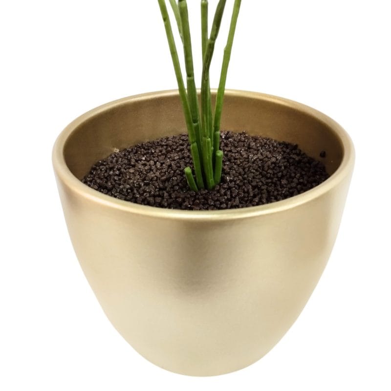 Vaso de samambaia Phlebodium