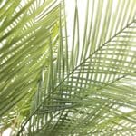 Hojas árbol palmera artificial