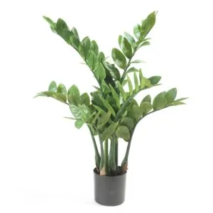 Planta artificial zamioculca