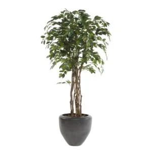 Planta ficus eco artificial