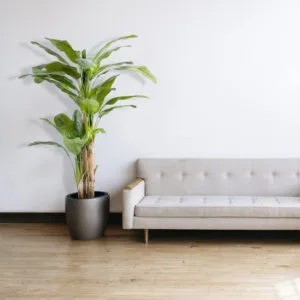 Decoración con platanera artificial multitronco