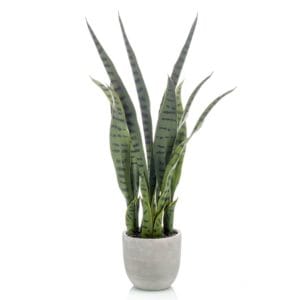 Planta sansevieria artificial 65 cm