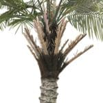 Tronco árbol palmera artificial 260 cm