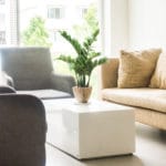 Decoración con planta artificial zamioculca