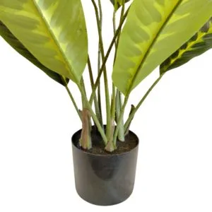 Dieffenbachia artificial maceta