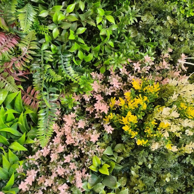 Jardín vertical Sweet garden
