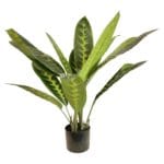 Planta artificial difembachia Planta Artificial Dieffenbachia