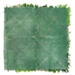  Sweet Garden nos Fundos