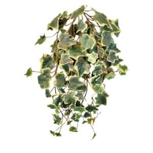 Rama colgante Ivy Ignífuga