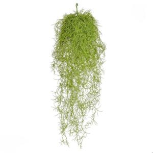 Rama colgante Spanish Moss Ignífuga