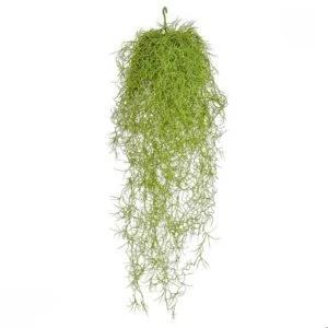 Rama colgante Spanish Moss Ignífuga