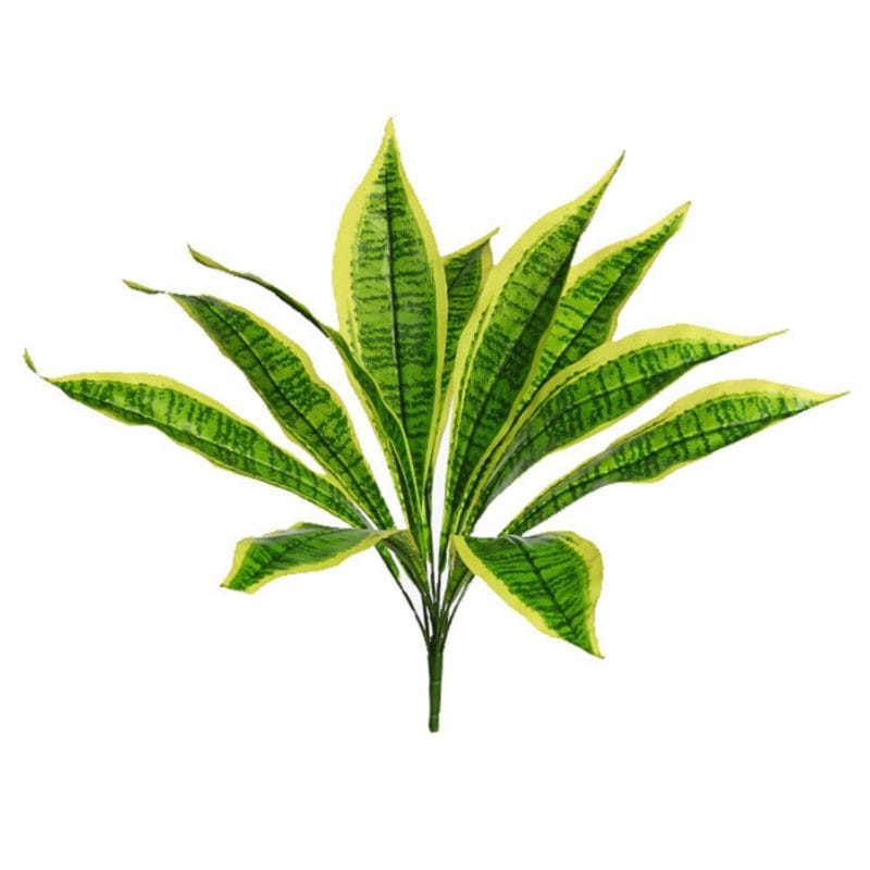 Rama artificial de difembaquia