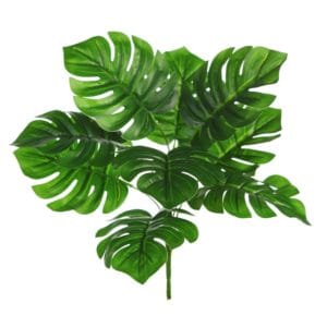 Rama de Monstera 35 cm