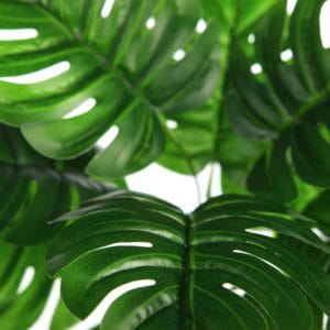 Rama artificial de monstera