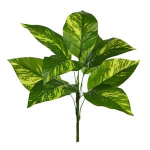 Künstlicher Pothoszweig 35 cm