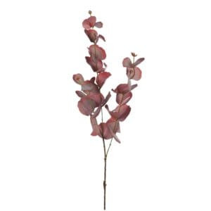 Rama de eucalipto lila