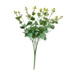 Rama de Eucalipto verde