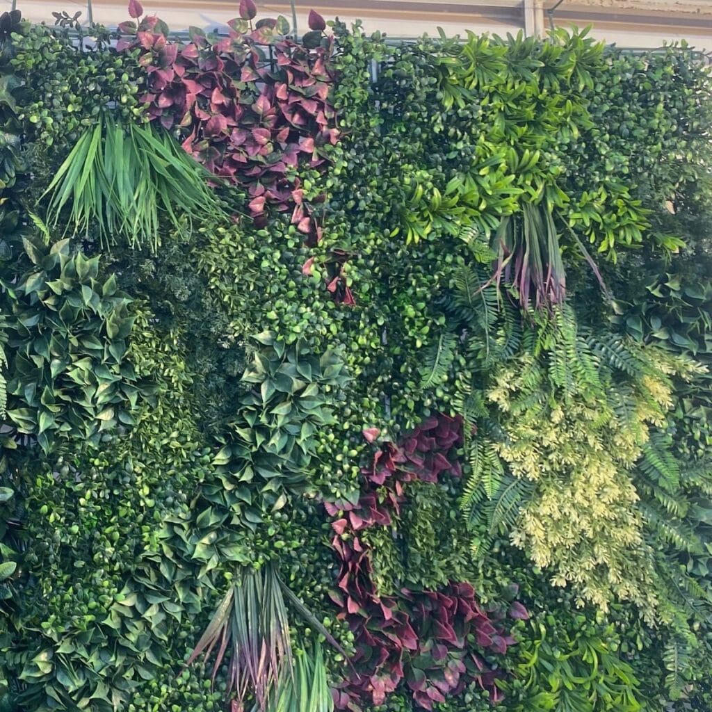 Imagen #2 de Alvaro Sanchez Albarran